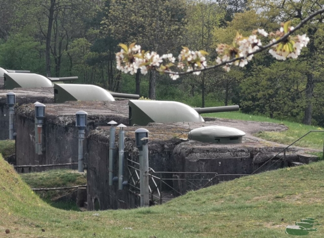 29_fruhjahr_batterie_1