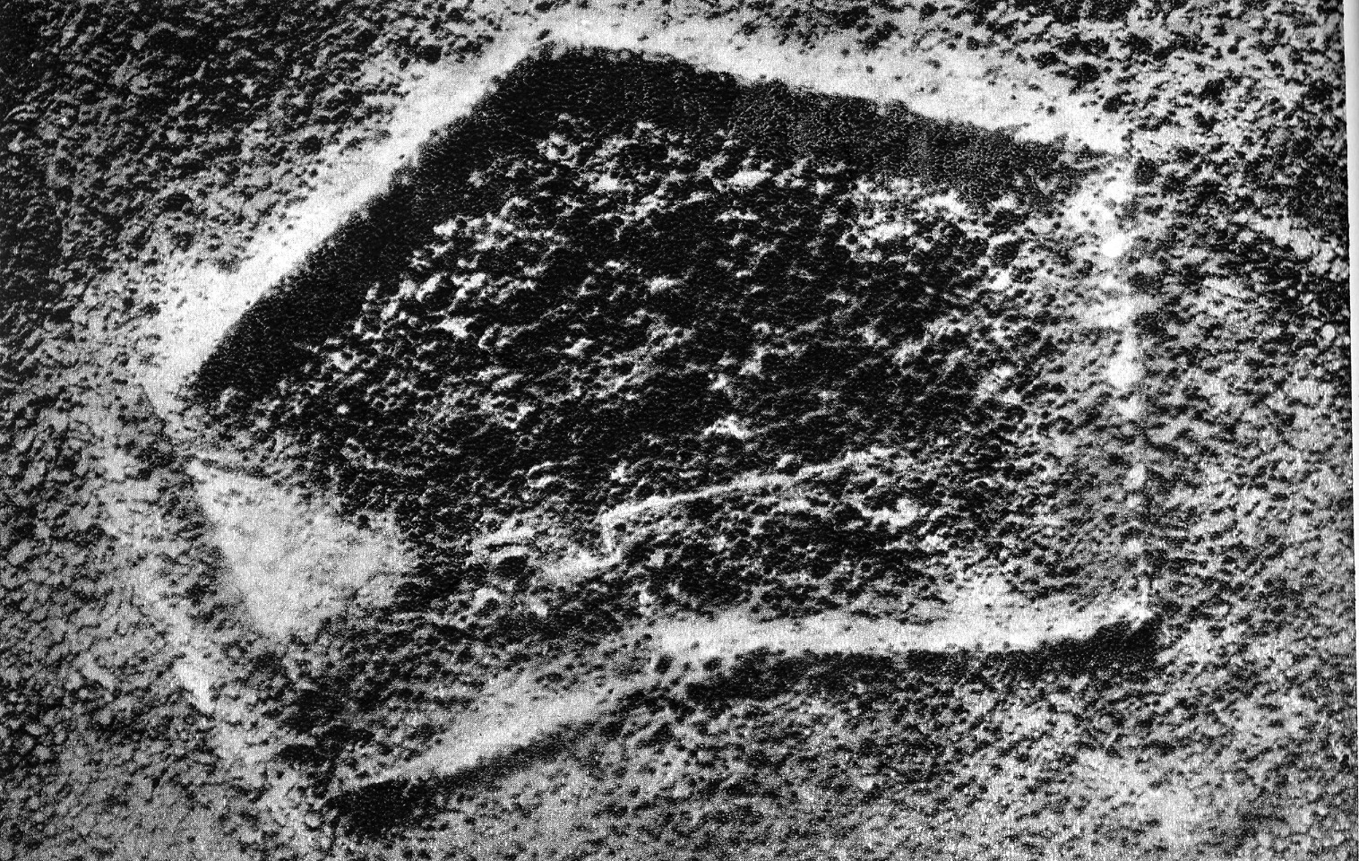 Le Fort de Douaumont en 1916